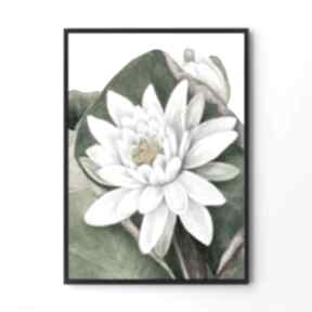 Roślinny kadr - plakat 40x50 cm plakaty hogstudio rośliny, botaniczne, kwiaty, obraz
