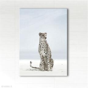 Obraz - gepard wydruk na płótnie yenoo, afrykański, afryka, pantera, kot