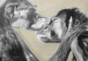 Obraz szympans zwierzę. Miłość, małpa, natura walentynki ewa