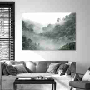 Obraz na - las we mgle abstrakcja 100x70 cm 1-0329 raspberryem płótnie, natura, wydruk pejzaż