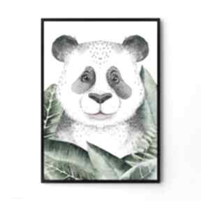 Plakat obraz panda 50x70 cm B2 pokoik dziecka hogstudio, dziecko, grafika