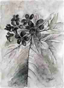 Roślinna ekspresja, akwarela 24x32 cm joannatkrol kwiaty, rośliny, natura