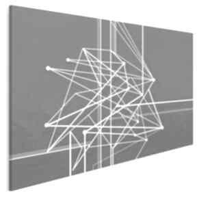 Obraz na płótnie - 120x80 cm 47801 vaku dsgn krzywe, linie, geometryczny, minimalizm