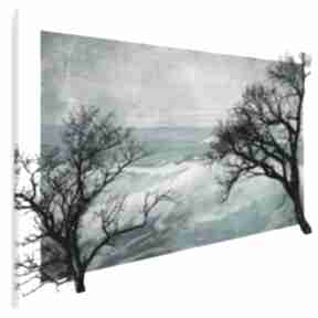 Obraz na płótnie - konary turkus 120x80 cm 17901 vaku dsgn, gałęzie, drzewo, elegancki