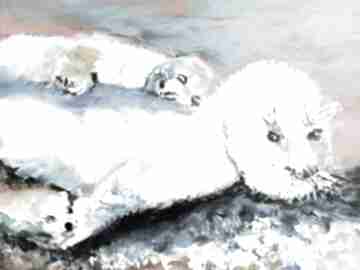 Rodzina focza ewa mościszko foki, krajobraz, miłość, zwierzęta, pejzaż