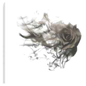 Obraz na płótnie - róża kwiat dym brązowy 120x80 cm 90201 vaku dsgn, minimalizm, glamour