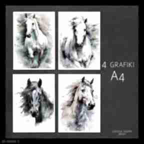 4 grafiki A4 konie