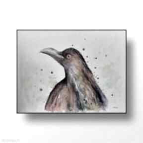 Kolorowy formatu 24x32 cm paulina lebida ptak, papier, akwarela