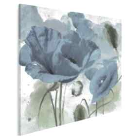 Obraz na płótnie - niebieskie maki 80x80 cm 12201 vaku dsgn, kwiaty, rośliny, natura