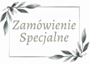 srebrne z agatem zamówienie specjalne p joanna anna kaminska kolczyki, kamienie półszlachetne