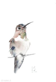 Koliber dekoracje alquadro kolibry, akwarela, natura, ptaki, prezenty, sztuka