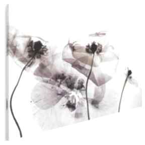Obraz na płótnie - 120x80 cm 61301 vaku dsgn kwiaty, transparentny, przeźroczysty, rośliny