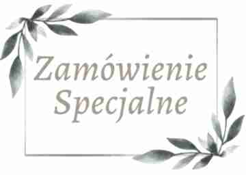 z specjalne p joanna anna kamińska-zabiegaj na zamówienie, srebrny pierścionek, z agatem