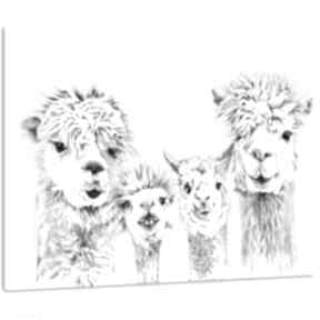 Rodzina wesołych - nowoczesny obraz drukowany na płótnie 120x80cm ludesign gallery z alpakami