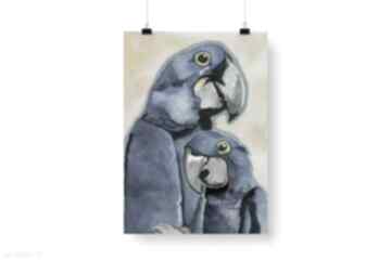 Plakat dekoracyjny a3 "papugi" plakaty bednarczyk ilu, do salonu, ptaki - pomysł na prezent