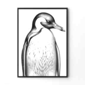 Plakat pingwinek - czarno biały - pingwin. Zwierzęta: vintage