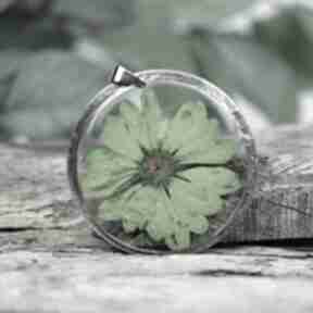 Naszyjnik z soczysto zieloną margerytką z80 naszyjniki herbarium jewelry z kwiatem, biżuteria
