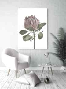 Obraz drukowany na płótnie kwiat protea -duży format 70x100 0345 ludesign gallery rożowy