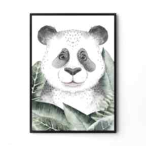 Plakat obraz panda 50x70 cm B2 pokoik dziecka hogstudio dom, grafika