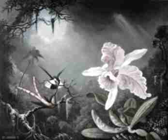 "różowa orchidea i rajska para" obraz na płótnie pi art - miłość, koliber, malarstwo