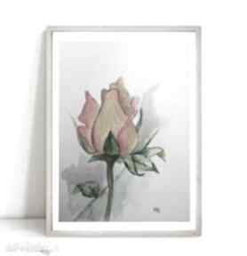 formatu 18x24 cm paulina lebida róża, papier, akwarela