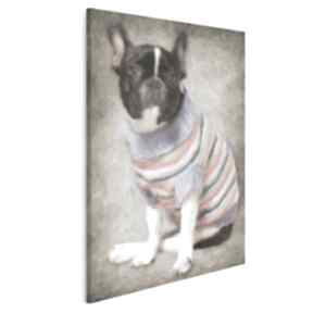 Obraz na płótnie - bulldog sweter 50x70 cm 09801 vaku dsgn, pies, rasa, hipster