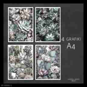 4 A4 justyna jaszke sukulenty, rośliny - zestaw grafik, A4, plakaty