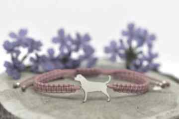 Rottweiler - bransoletka z psem, srebro pozłacane próby 925 pasją i pędzlem pies, z biżuteria