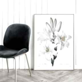 White flowers - 50x70 cm hogstudio plakat, plakaty, rysunek, kwiaty, vintage, na prezent