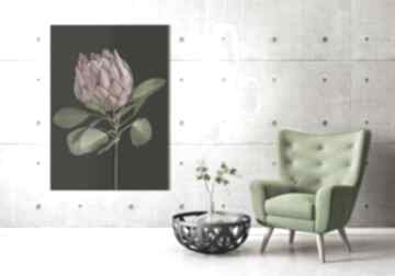 Obraz drukowany na płótnie - duży format 70x100 0347 ludesign gallery protea, roślina, kwiat