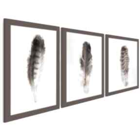 Obraz na płótnie - 3x50x70 cm 01902 vaku dsgn pióra, ptak, natura, tryptyk, ramka