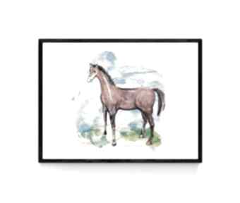 Koń plakat A4, 21x30, obrazek z koniem, źrebak grafika na ścianę plakaty annasko obraz, konie