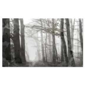 Obraz las 1 - 120x70cm we mgle designe jesień aleobrazy - las