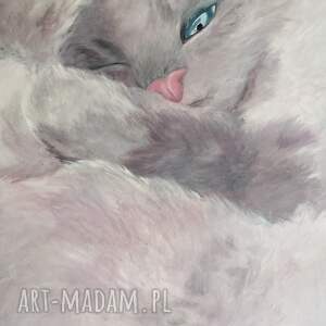 kłębuszek - obraz akryl na płótnie 80x60cm, kot szary kot, ragdoll
