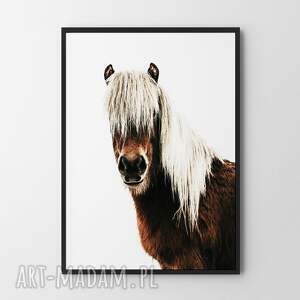 grzywacz - plakat 30x40 cm koń koniem plakaty ze zwierzętami