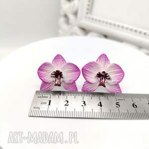 Prezent Kolczyki sztyfty z biało różowymi miniaturowymi storczykami