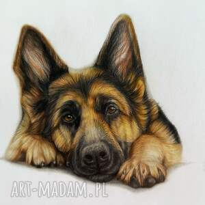 Portret pupila ze zdjęcia na zamówienie - realistyczny rysunek kredkami i ołówkiem 21x30 cm
