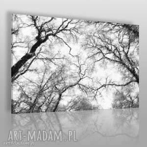 obraz na płótnie - drzewa czarno-białe - VAKU DSGN dom