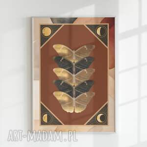 plakaty motyle (r) 30x40 - kolaż