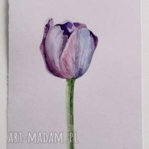 tulipan akwarela natura, rośliny, świąteczny prezent