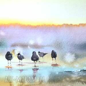 Ptaki do domu, plaża, świt, wschód