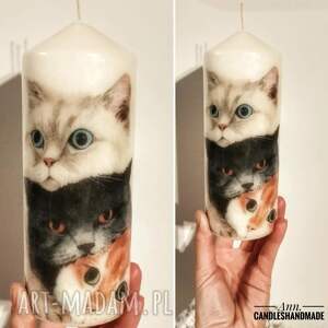 Świeca dekoracyjna 20 cm, koty, z miłości do kotów, prezent