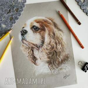 tojadorota pieseł rysunek kredkami format A4 portret pupila pies z dlugimi