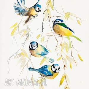 Sikorki Modraszki Grafika, wiosna, ptaki, polskie, kolorowy