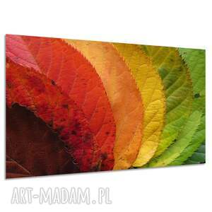 Obraz na płótnie Tęcza i kolorowe liście 120x80 cm