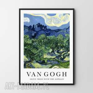 van gogh olive trees with the alpilles - plakat 50x70 cm plakaty do wnętrz
