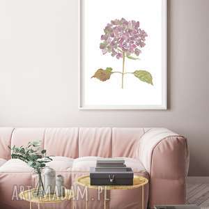 hortensja, plakat A3, reprodukcja, kwiaty akwarela obraz do salonu