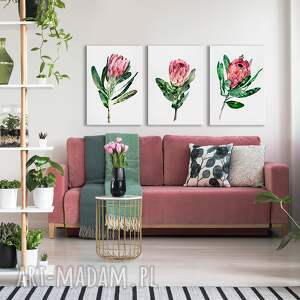 ludesign gallery obraz drukowany na płótnie kwiaty peonii - tryptyk każda 50x70cm
