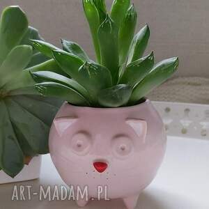 mała różowa doniczka ceramiczna kot kizior - rękodzieło na prezent lamabo