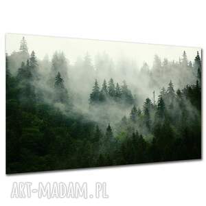 obraz do salonu las l3 - 120x80cm we mgle mgła, obraz, las, mgle